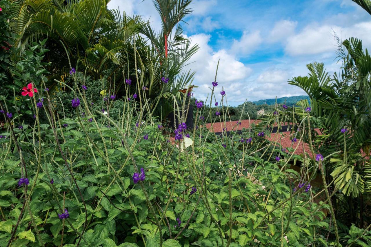 Laloon Luxury Suites - Adults Only Playa Santa Teresa  Екстер'єр фото